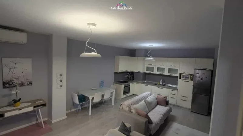 Tirane, jepet me qera apartament 1+1+Ballkon Kati 1, 70 m² 600 € (rruga panorama)