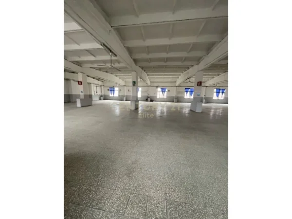 Tirane, jepet me qera magazine Kati 0, 1.027 m² 7.000 € (Ali Demi)