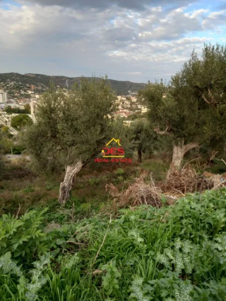 Vlore, shitet toke , 400 m² (Kuzum Baba, Vlorë)