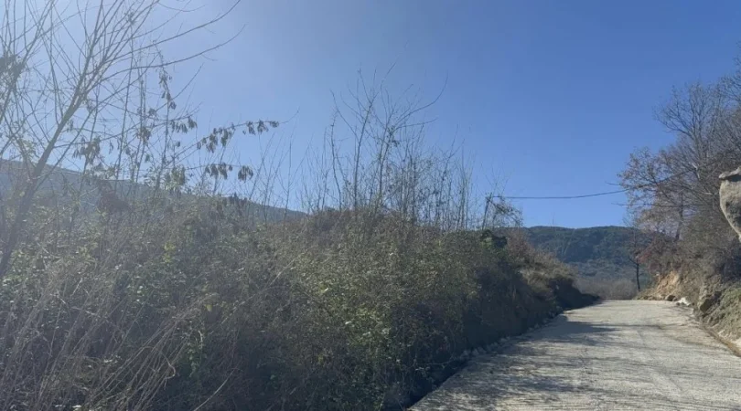 Tirane, , 6.000 m² 320.000 € 