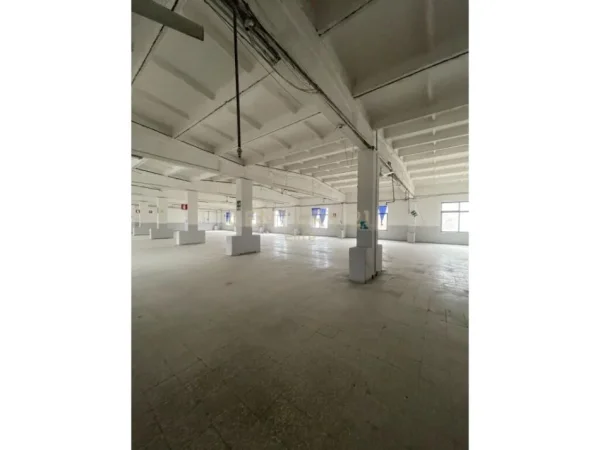 Tirane, jap me qera magazine , 1.028 m² 7.000 € (Ali Demi)