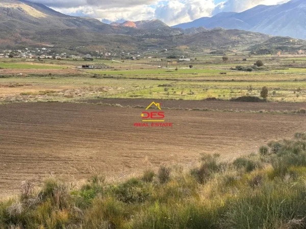 Vlore, shitet toke , 21.000 m² (Tragjas, Vlorë)