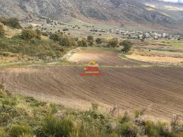 Vlore, shitet toke , 21.000 m² (Tragjas, Vlorë)