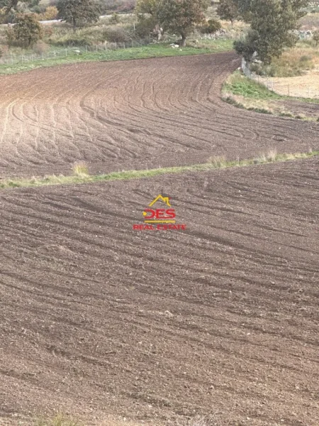 Vlore, shitet toke , 21.000 m² (Tragjas, Vlorë)