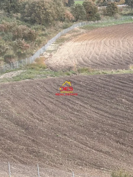 Vlore, shitet toke , 21.000 m² (Tragjas, Vlorë)