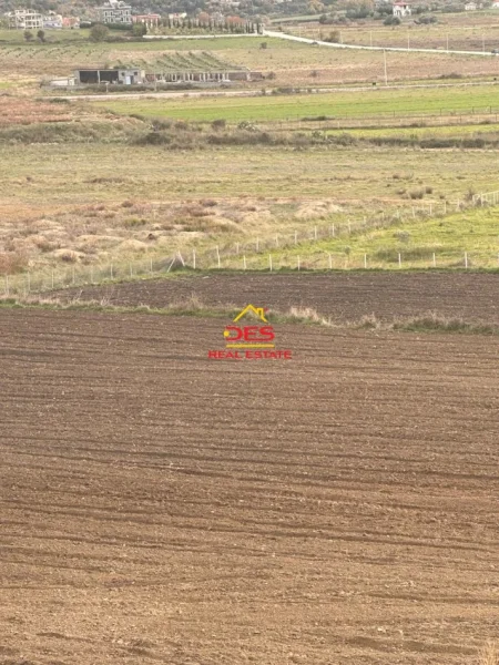 Vlore, shitet toke , 21.000 m² (Tragjas, Vlorë)