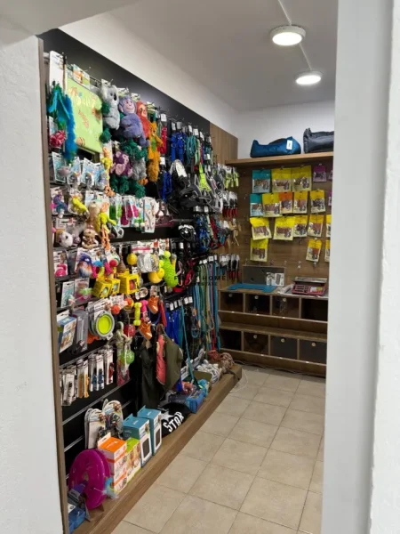 Tirane, jepet me qera dyqan Kati 0, 60 m² 800 € (21 DHJETORI)