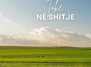 Shitet toke me 2 objekte biznesi ne Kombinat 500.000 euro