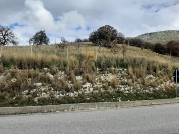 Himare, shitet toke , 11.500 m² 1.380.000 € (Qeparo, Himare)