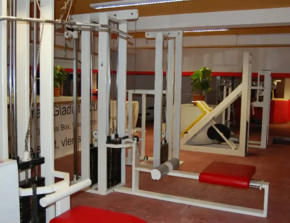 Tirane, okazion Shiten pajisje professionale sportive per palester fitness dhe arte marciale