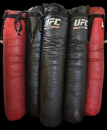 Tirane, okazion Shiten pajisje professionale sportive per palester fitness dhe arte marciale