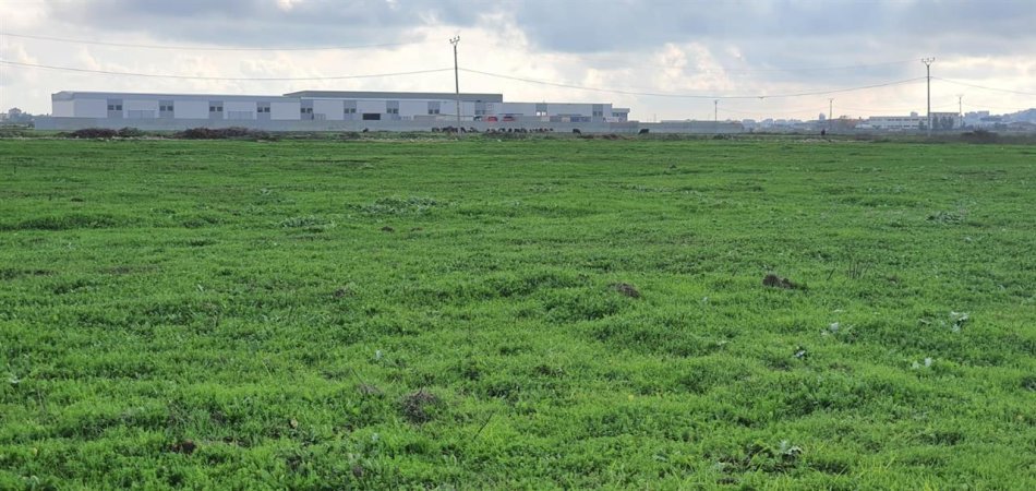 Tirane, jepet me qera toke , 3.000 m² (Kashar)