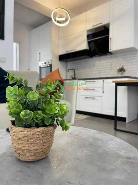 Tirane, jepet me qera apartament 1+1+Ballkon Kati 2, 60 m² 700 € (21 Dhjetori)