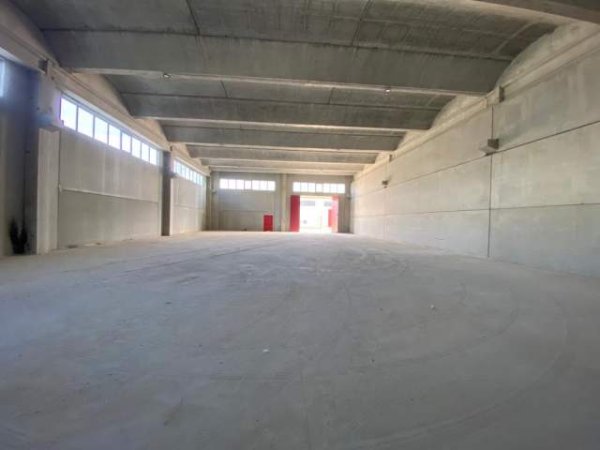 Shqiperi, jepet me qera magazine Kati 0, 1100 m² 7700Euro (TIRANA INDUSTRIAL PARK)