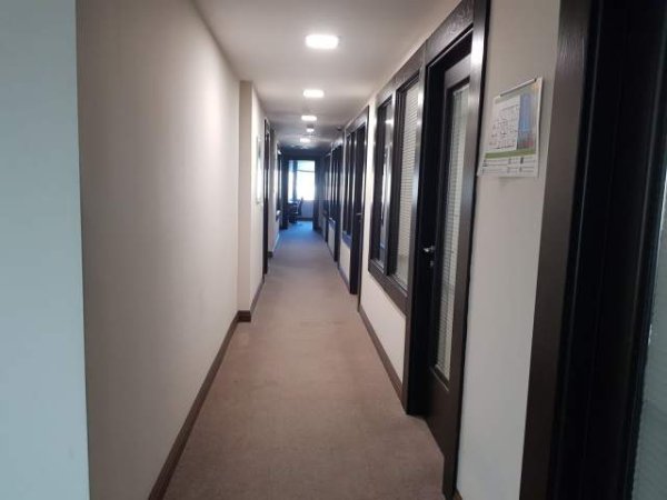 Tirane, jepet me qera ambjent biznesi Kati 4, 555 m² 8.000 Euro (Rruga e Kavajes)