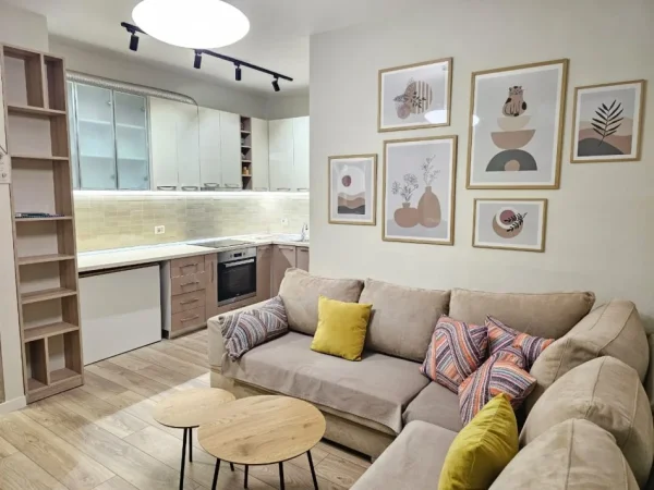 Tirane, jepet me qera apartament 1+1 Kati 4, 550 € (fusha e aviacionit)