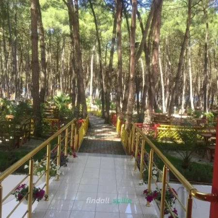 Spille, shitet hotel Ndërtesë 6 Katëshe, 1.150 m² (rruga e pishave)