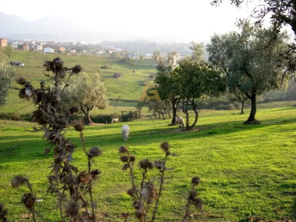Tirane, shitet toke , 10.500 m² 1.260.000 € (Farke)