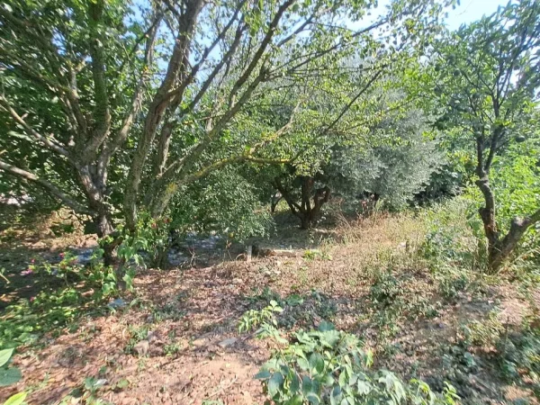 Vlore, shitet shtepi 2+1 Kati 0, 600 m² 45.000 € (Sherishte, Vlore)