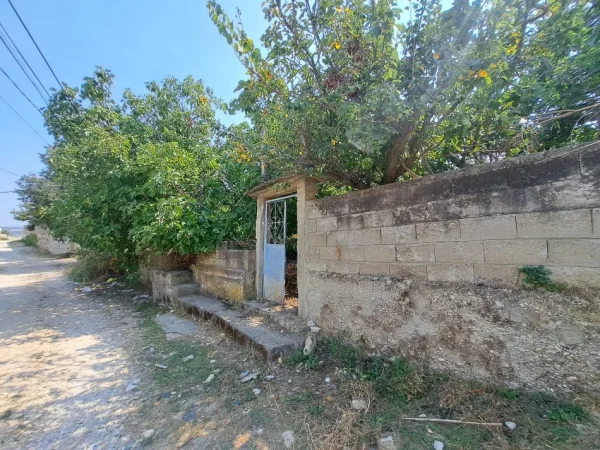 Vlore, shitet shtepi 2+1 Kati 0, 600 m² 45.000 € (Sherishte, Vlore)