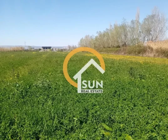 Lezhe, shitet toke ne bregdet , 10.000 m² (TALE, LEZHE)