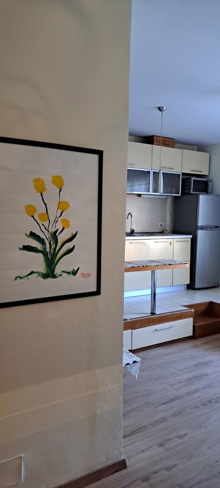 Tirane, jepet me qera apartament 1+1+A+BLK Kati 6, 60 m² 400 Euro (perballe kompleksit Dinamo)