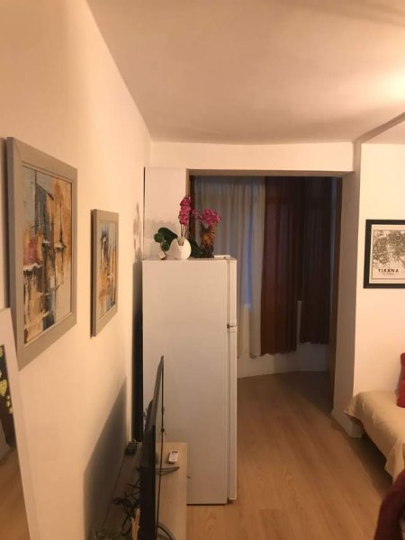Tirane, jepet me qera apartament 1+1 Kati 1, 50 m² 400 Euro (rruga Sami Frasheri)