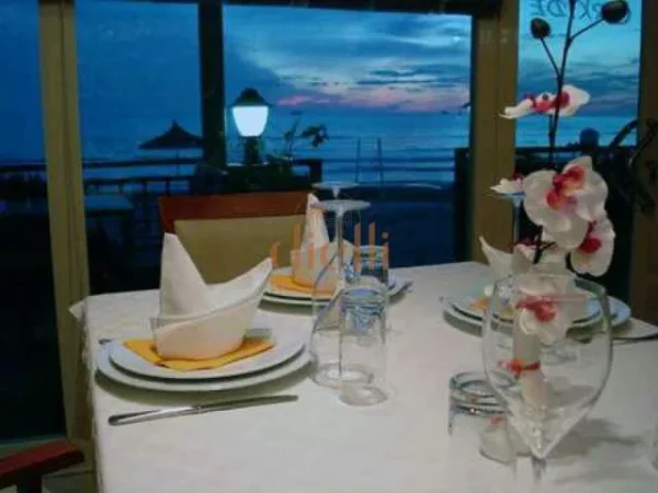 Lokal+ 200 Shezllone Per Shitje Ne Vije Te Pare Tek Shkembi I Kavajes