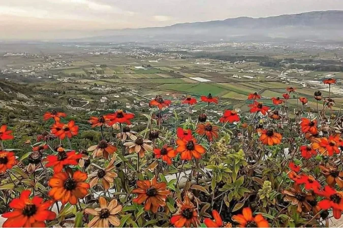 Tirane, shitet toke , 6.000 m² 510.000 € (FUSHE-PREZE)