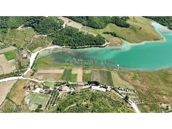 Tirane, shitet toke , 5.059 m² 278.000 € (Kashar)