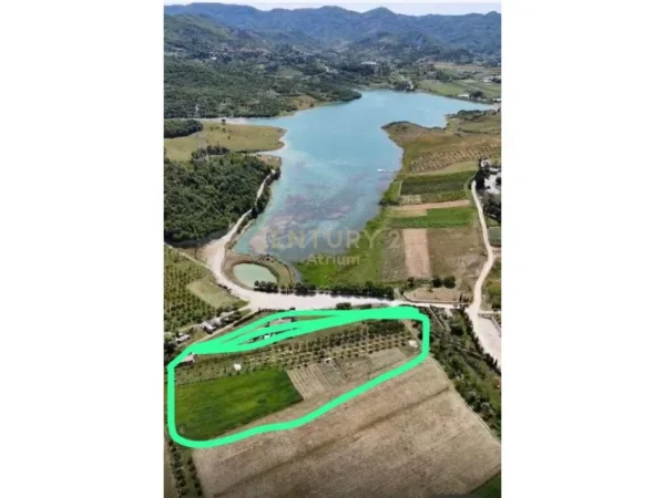 Tirane, shitet toke , 5.059 m² 278.000 € (Kashar)