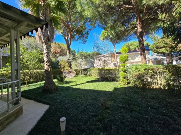 Tirane, shitet apartament 2+1+Ballkon Kati 0, 263 m² 280 000 € (GJIRI I LALZIT)