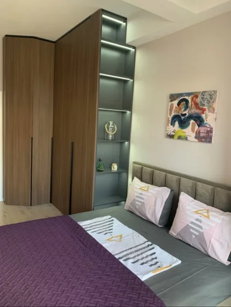 Tirane, jap me qera apartament 1+1+Ballkon Kati 2, 60 m² 500 € (Rr Ali Demi)