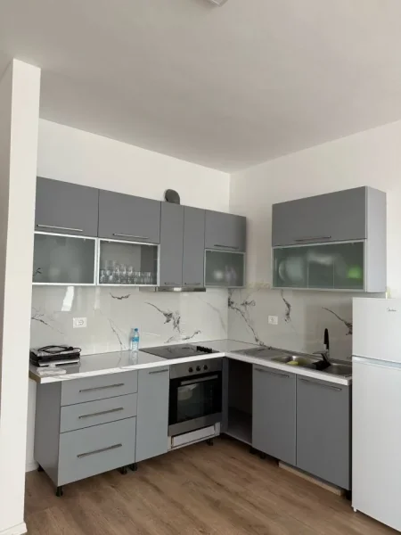 Tirane, jepet me qera apartament 1+1 Kati -1, 55 m² 450 € (Lidhja e Prizerenit Paskuqan)