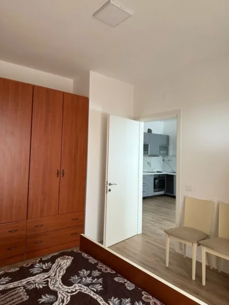Tirane, jepet me qera apartament 1+1 Kati -1, 55 m² 450 € (Lidhja e Prizerenit Paskuqan)