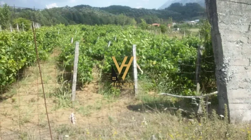 Permet, shitet truall , 4.154 m² 85.000 € (PERMET)