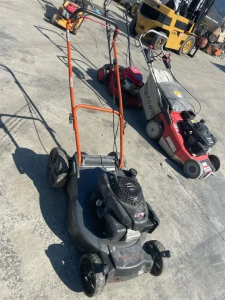 Lezhe, shes KORRESE BARI