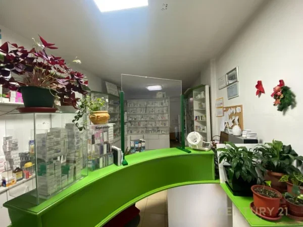 Tirane, shes ambjent biznesi , 91 m² 250.000 € (VASIL SHANTO, KESH)