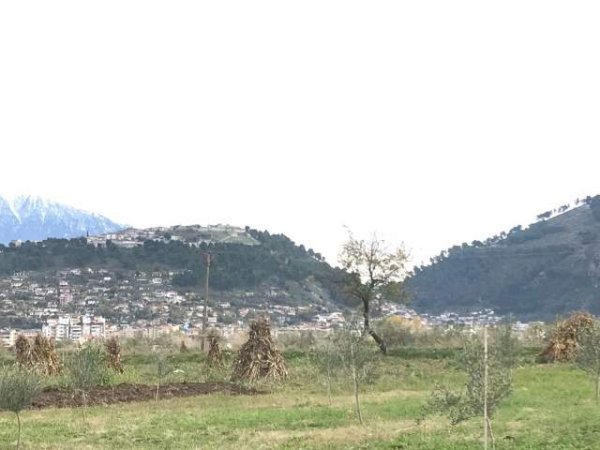Starove, Berat, shes toke 2.003 m² 20.000 Euro