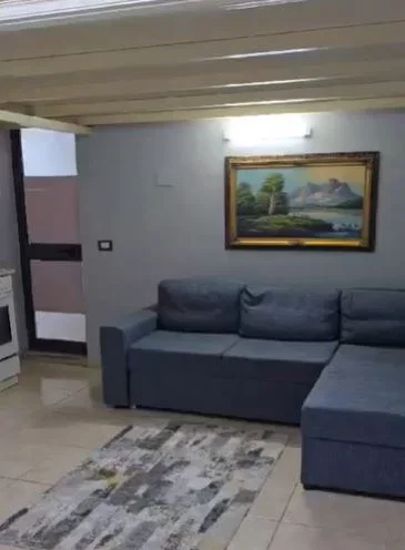 Tirane, jepet me qera apartament 1+1 Kati 1, 31 m² 350 € (Ali Demi)