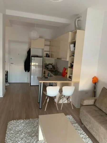 Tirane, jepet me qera apartament 1+1+Ballkon Kati 10, 62 m² 550 € (21 Dhjetori)