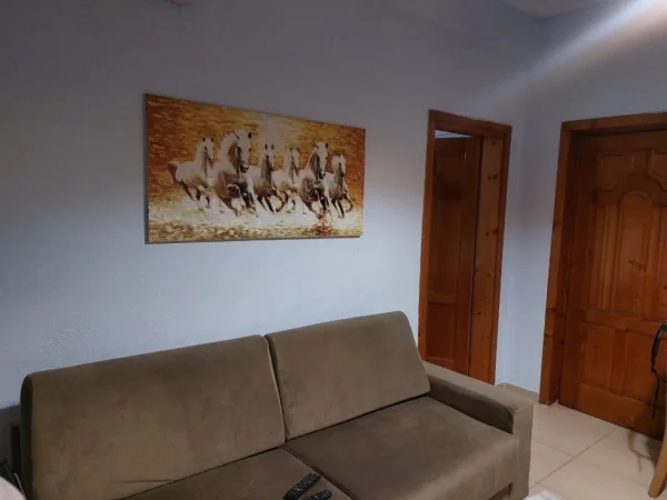 Tirane, jepet me qera apartament 1+1 Kati 2, 65 m² 400 € (Jepet me Qera Super Shtepia 1+1 me Parking ne 5 Maj.)