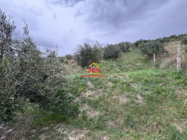 Radhime - Orikum, shitet toke , 3.000 m² (Radhimë)