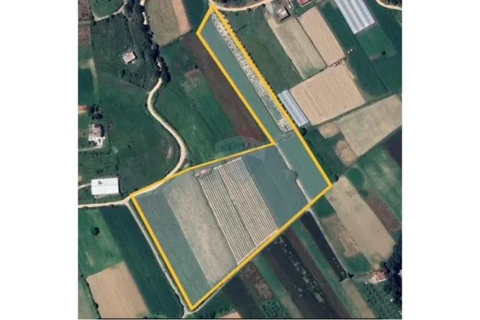 24.000 m² (Toke per shitje ne Baldushk)