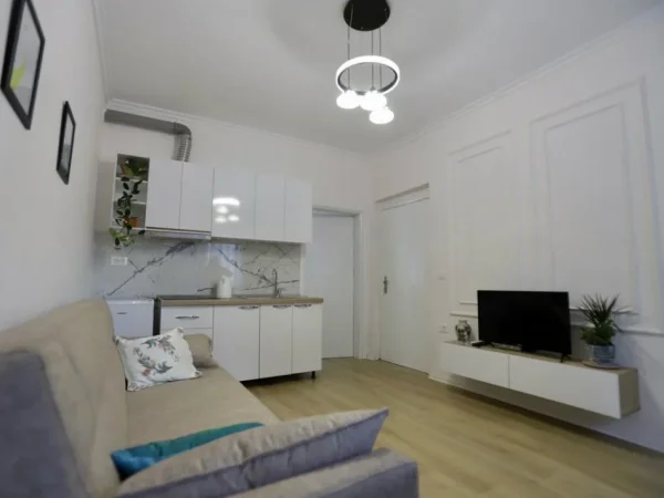 Qera, Dy Apartamente 1+1, Rruga Karl Gega, Tirane.