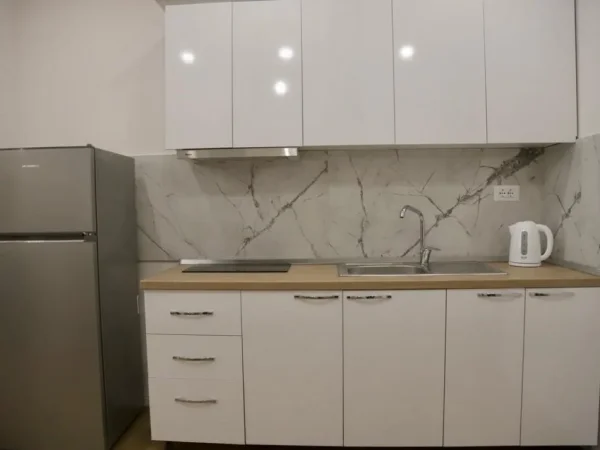 Qera, Dy Apartamente 1+1, Rruga Karl Gega, Tirane.