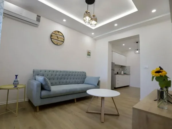 Qera, Dy Apartamente 1+1, Rruga Karl Gega, Tirane.