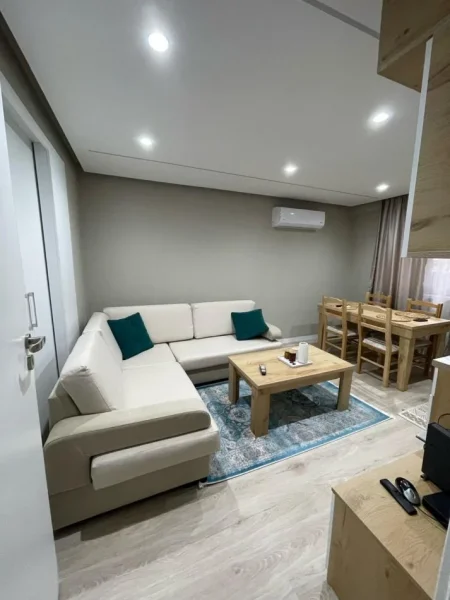 Tirane, jepet me qera apartament 1+1+Aneks Kati 1, 50 m² 500 € (rruga e kavajes)
