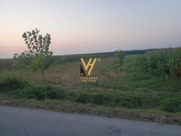 Fier, shitet toke , 11.000 m² 227.000 € (FIER)