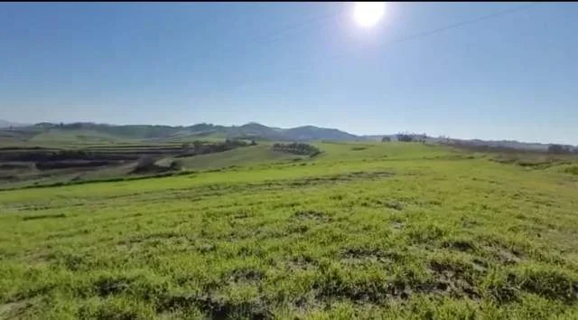 Durres, shes toke 5.300 m² 20 Euro/m2 (rruga Xhafzotaj afer Golden Kompleks tek lagjia e)